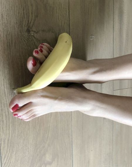 恐龙战队第四季_4K全集免费观看