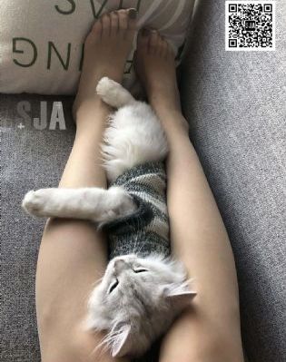 武神主宰超前点播免费观看动漫_高清在线播放